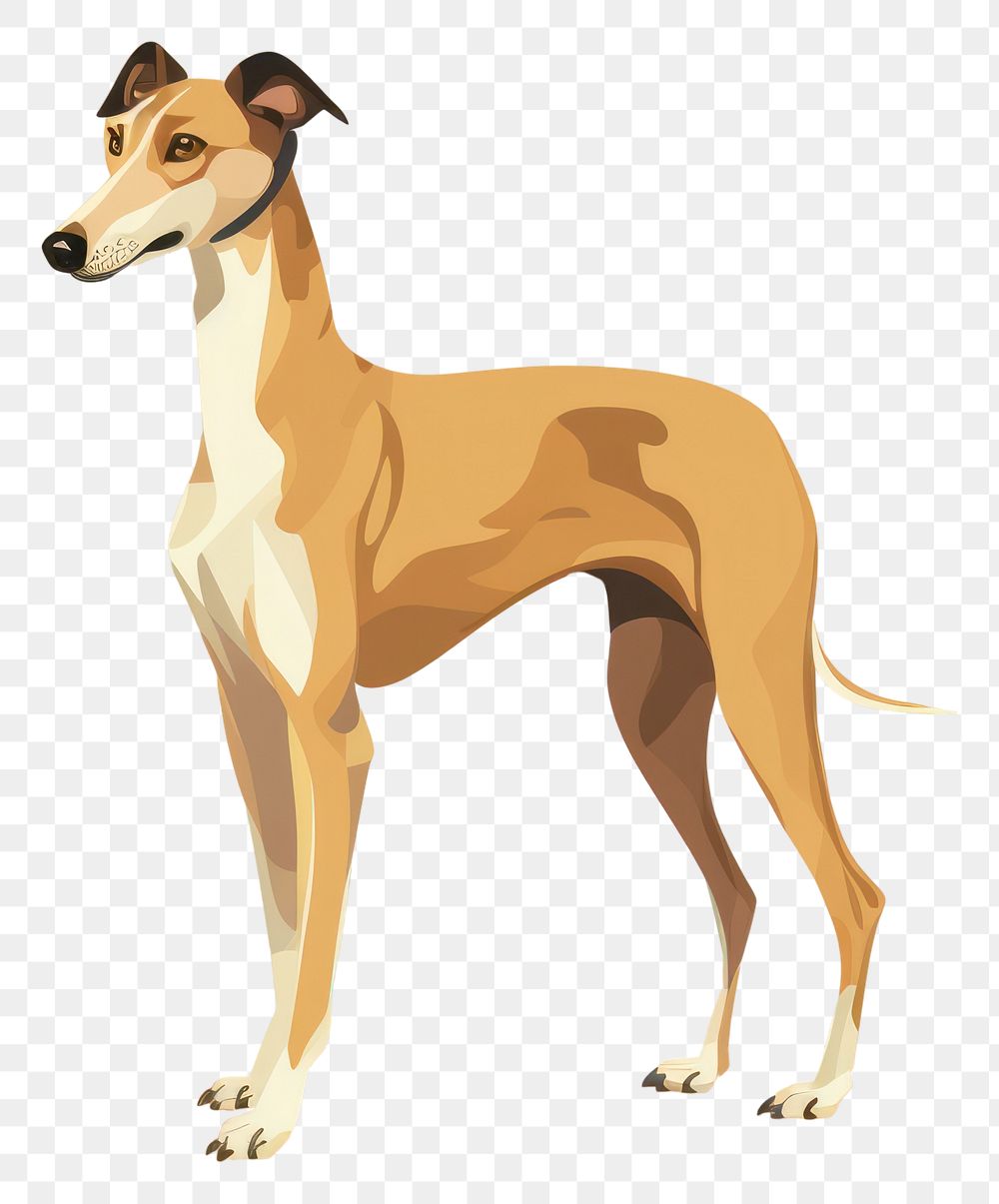PNG Greyhound dog pet animal mammal. AI generated Image by rawpixel.