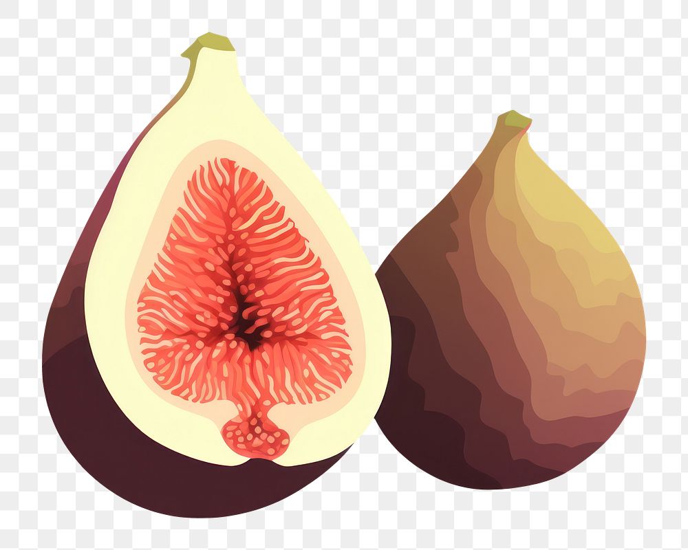 PNG Fig food fruit plant. AI generated Image by rawpixel.