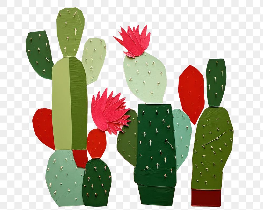 PNG Cactus plant art creativity. 