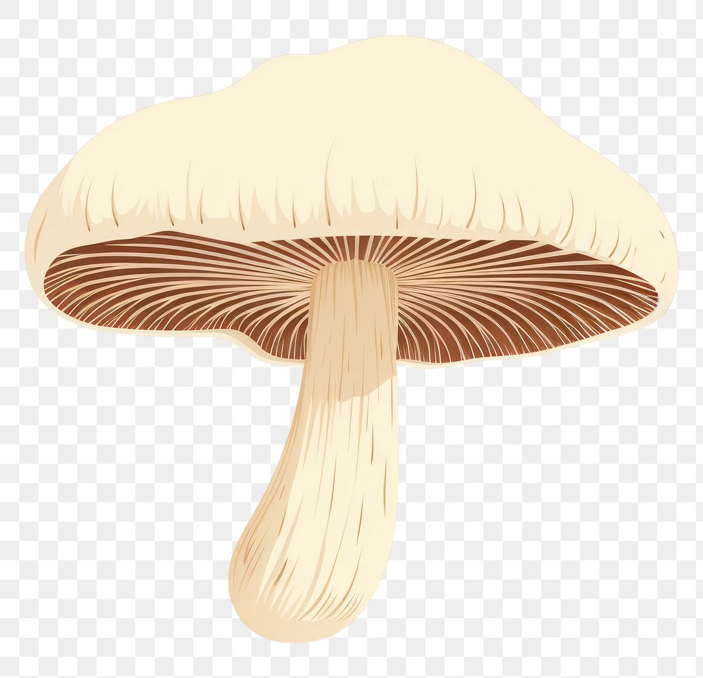 PNG Crimini Mushroom mushroom fungus plant. AI generated Image by rawpixel.