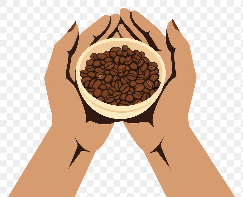 PNG Hands holding coffee bean coffee beans refreshment freshness. 