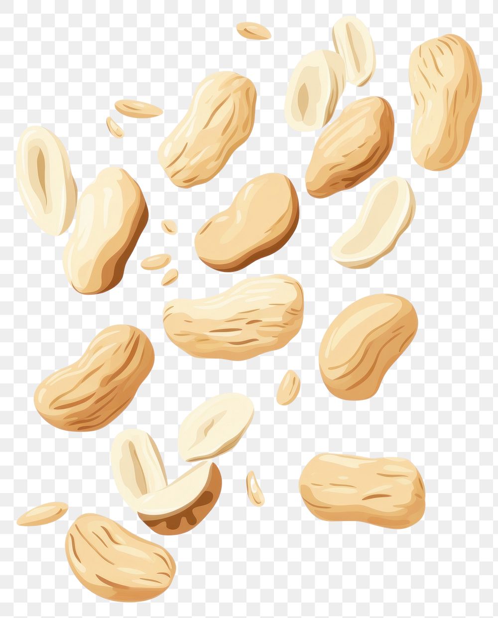 PNG Falling peanut seeds food white background freshness. AI generated Image by rawpixel.