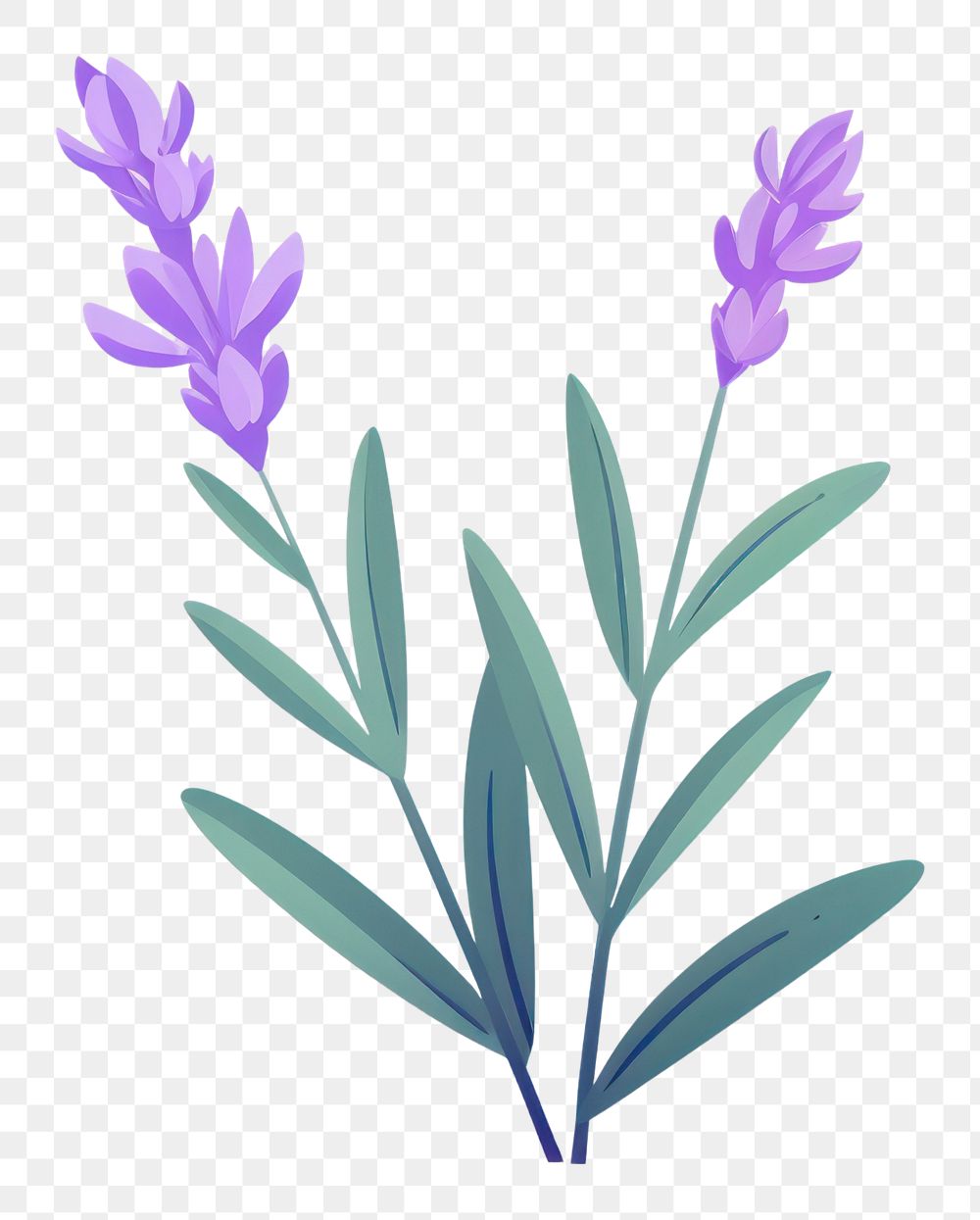 PNG A lavender flower drawing plant. 