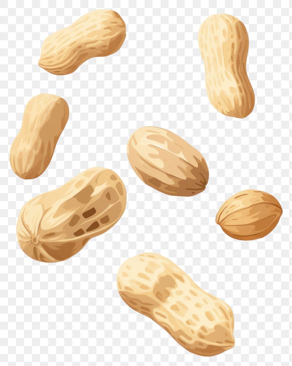 PNG Falling peanut seeds food white background freshness. AI generated Image by rawpixel.
