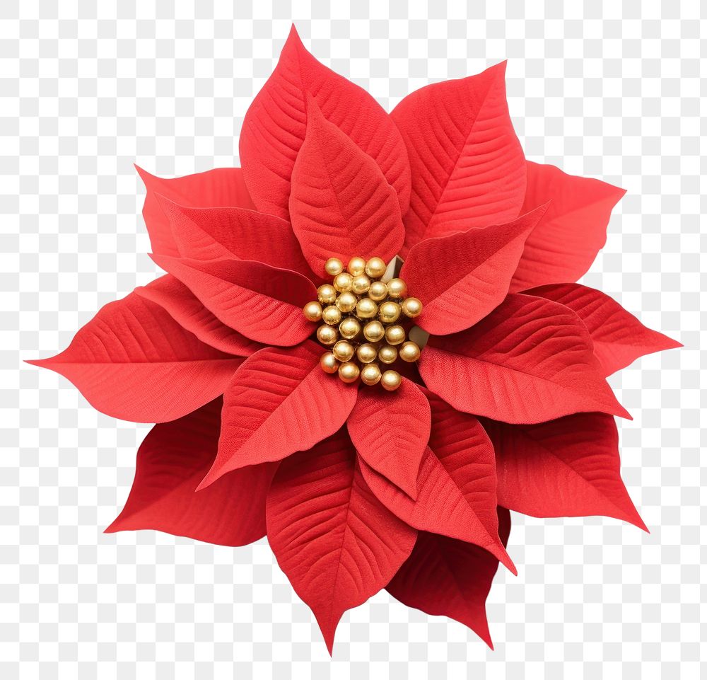 PNG Christmas flower brooch plant leaf