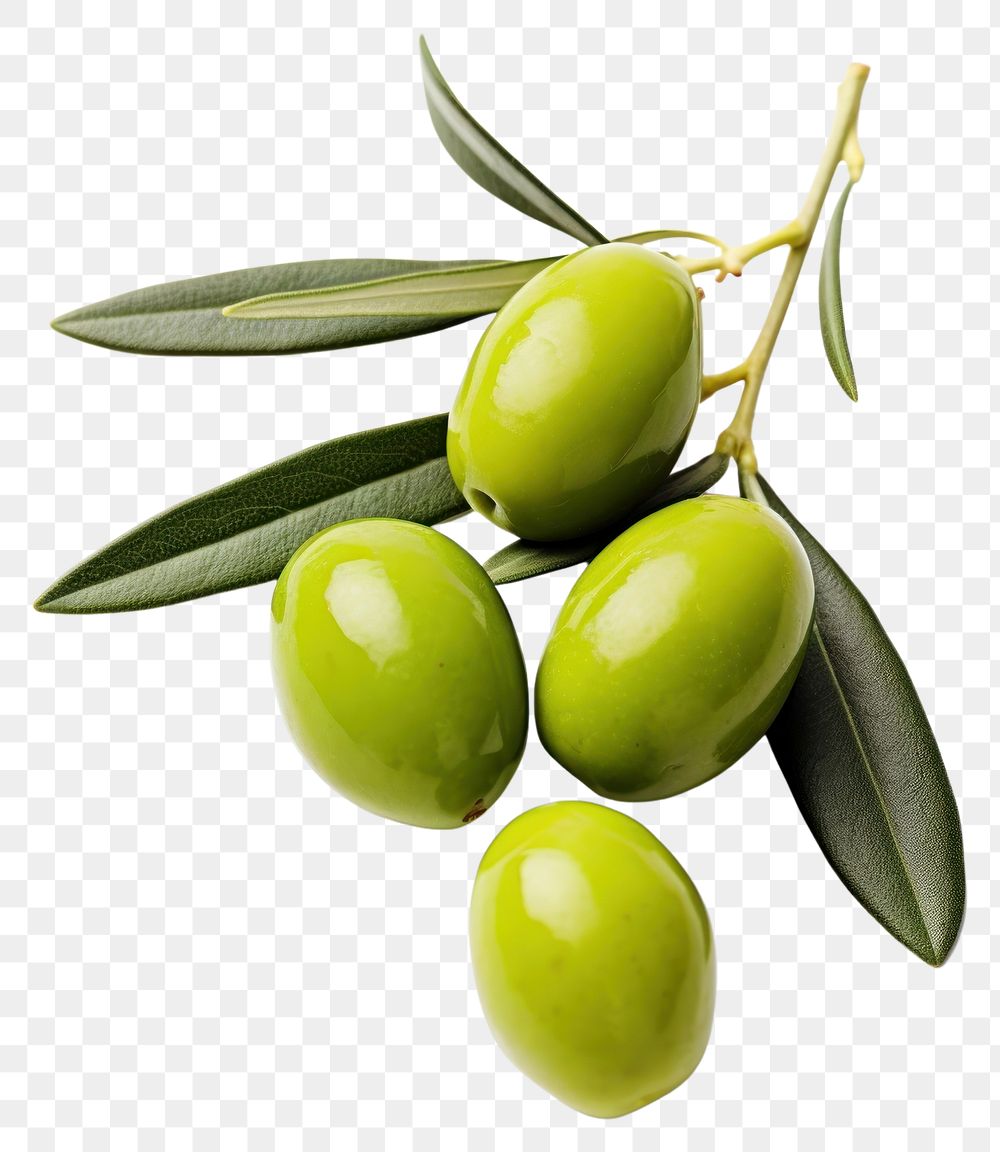 PNG Olive fruit plant food