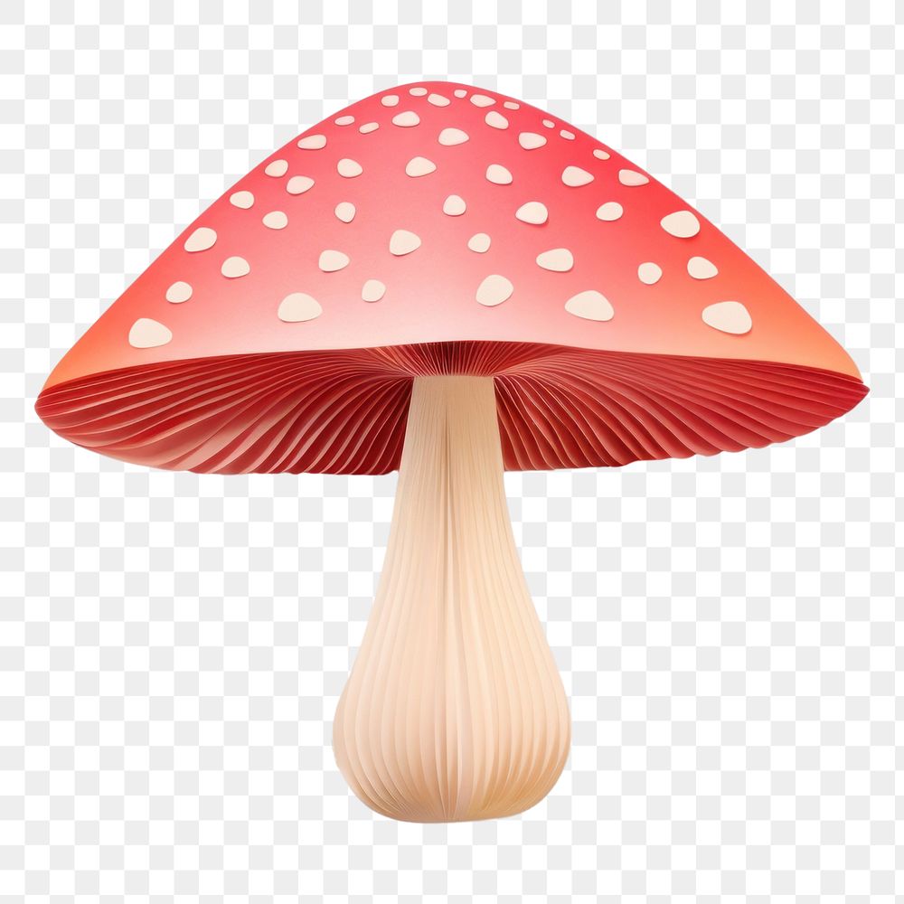 PNG  Mushroom fungus agaric plant. AI generated Image by rawpixel.