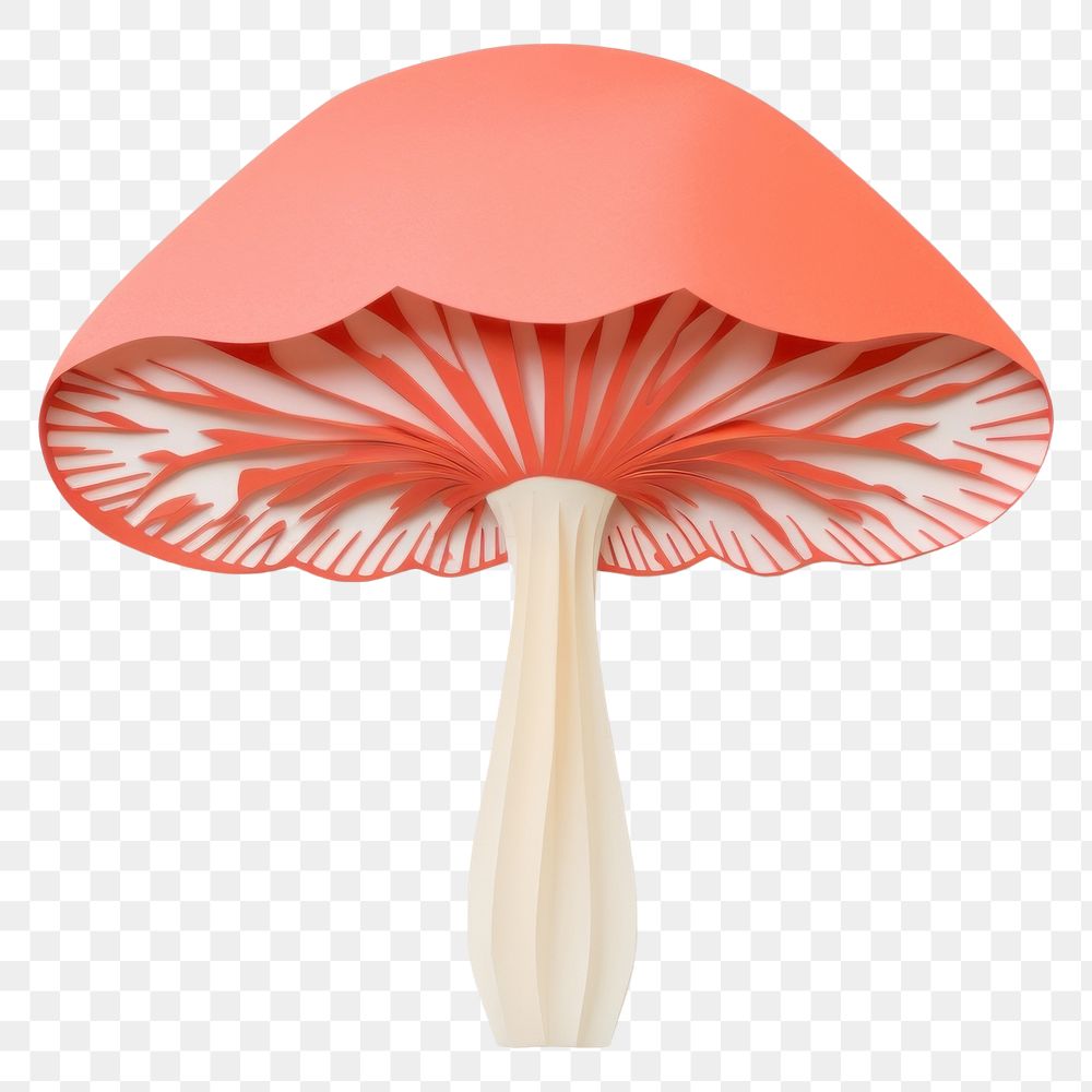 PNG  Mushroom fungus agaric plant. AI generated Image by rawpixel.