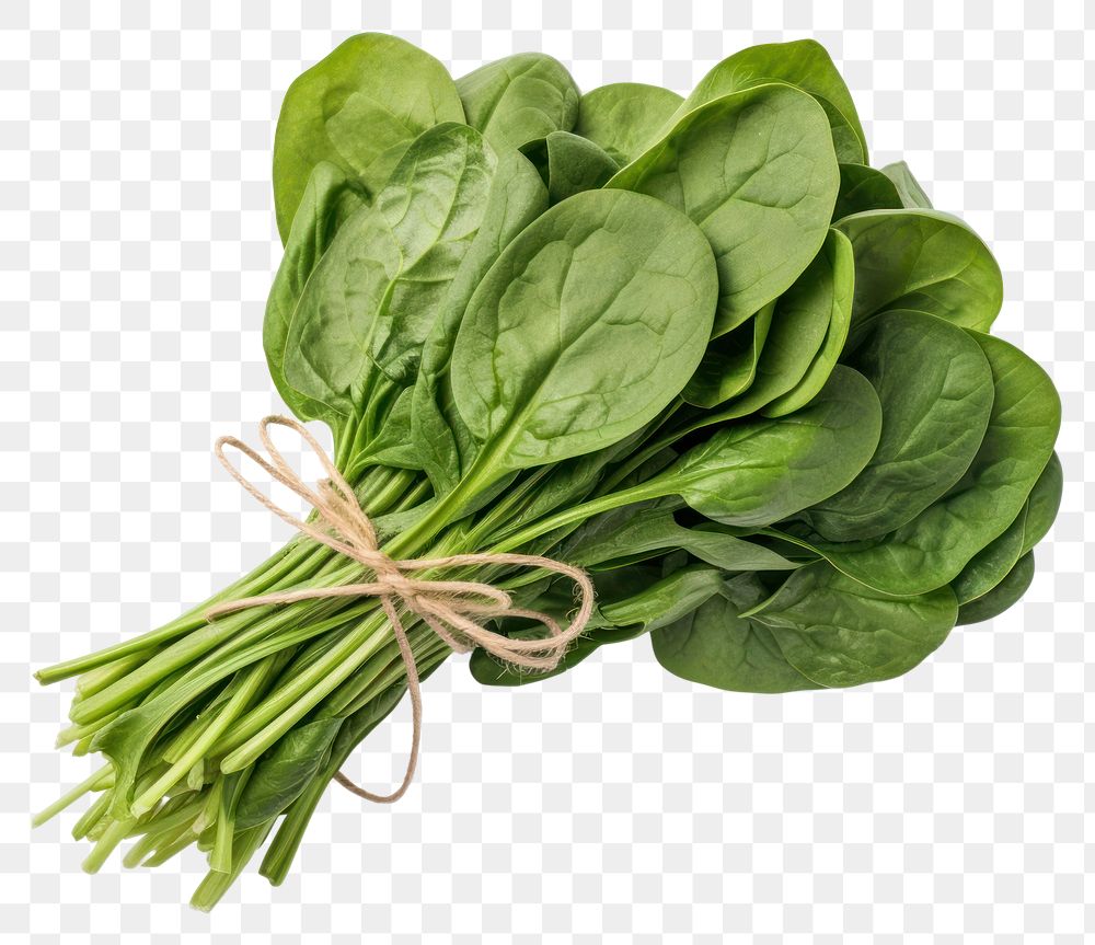 PNG Spinach vegetable bunch plant. AI generated Image by rawpixel.