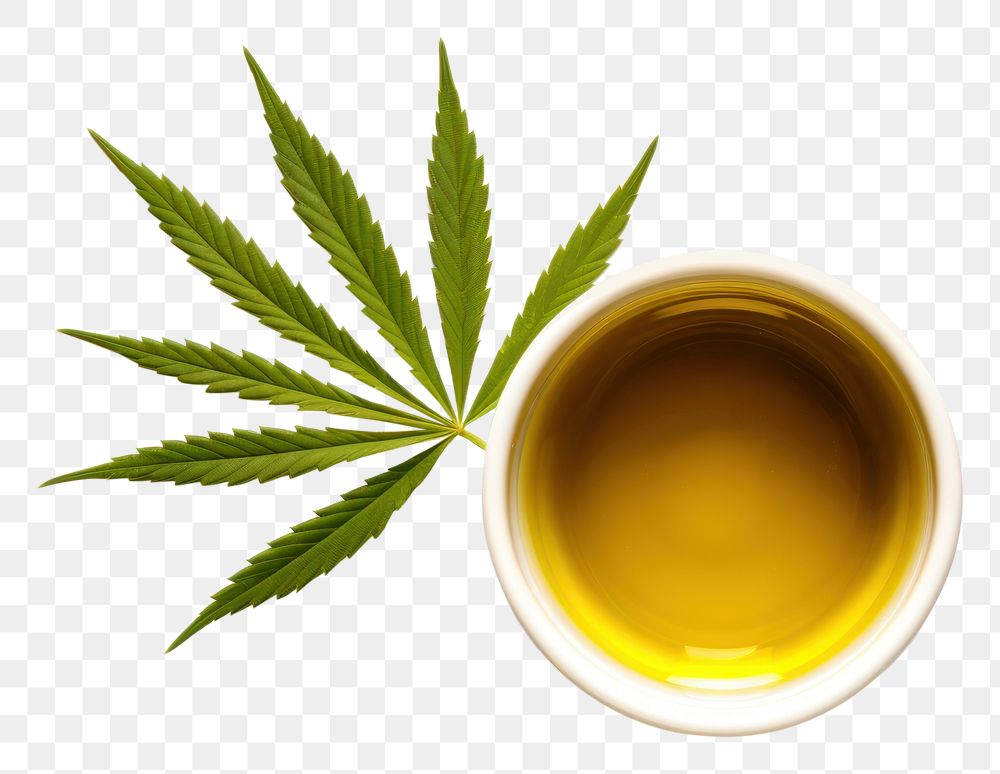 PNG Hemp oil seed leaf white background. AI generated Image by rawpixel.