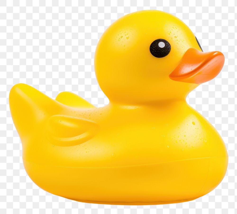 PNG Rubber duck animal bird beak. 