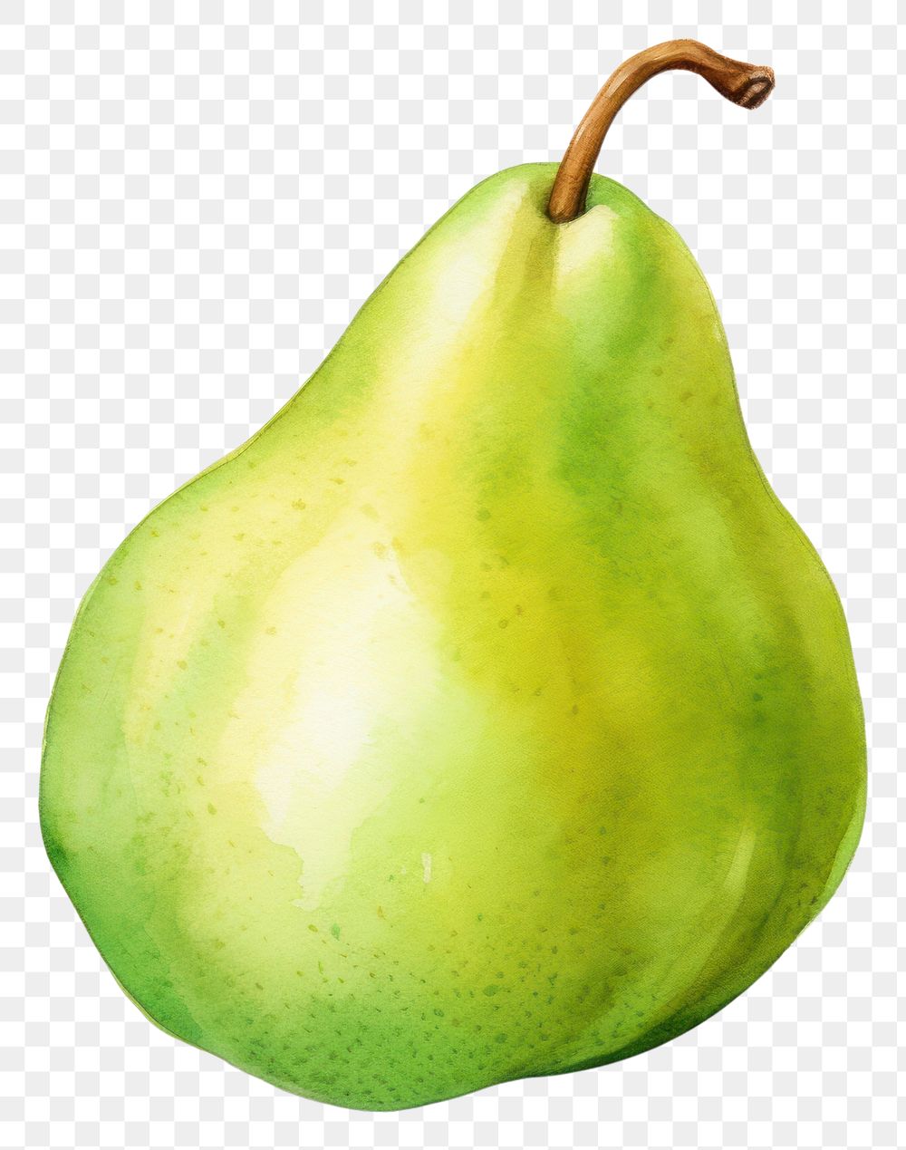 PNG  Pear fruit green plant. AI generated Image by rawpixel.