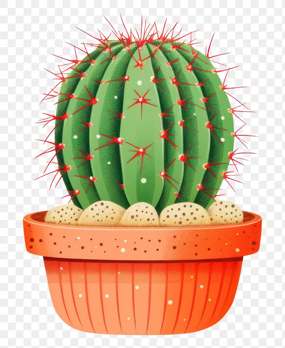 PNG Cactus cartoon plant freshness. AI generated Image by rawpixel.