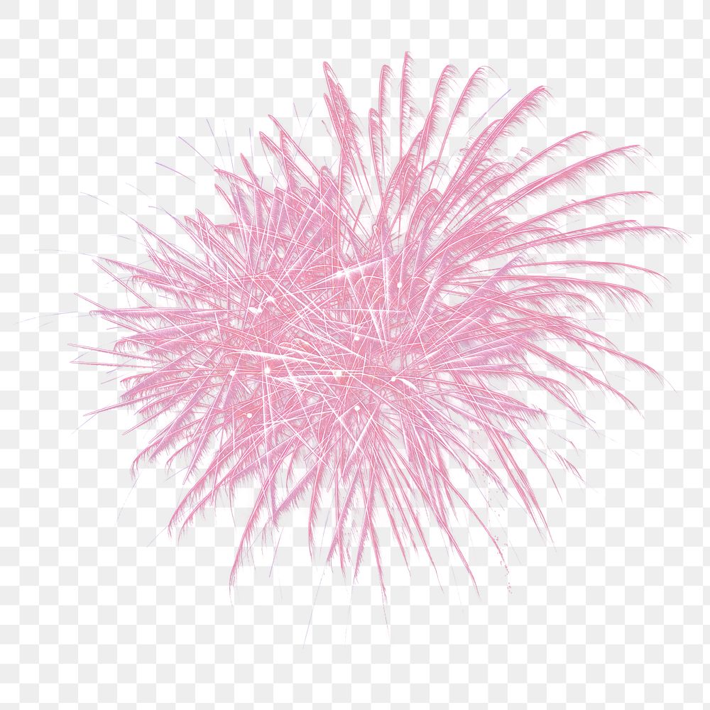 Pink  firework celebration png, transparent background