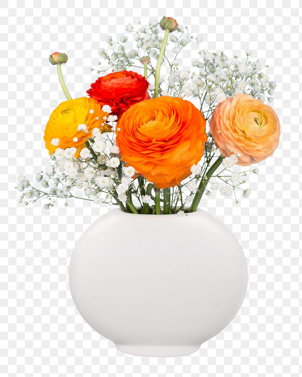 Png Persian buttercup in vase sticker, transparent background