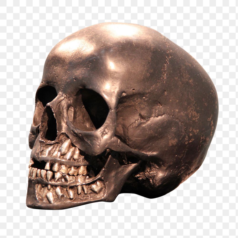 Bronze skull png sticker, transparent background