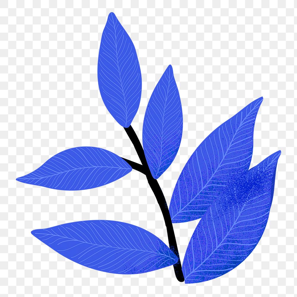 Blue leaf  png sticker, transparent background