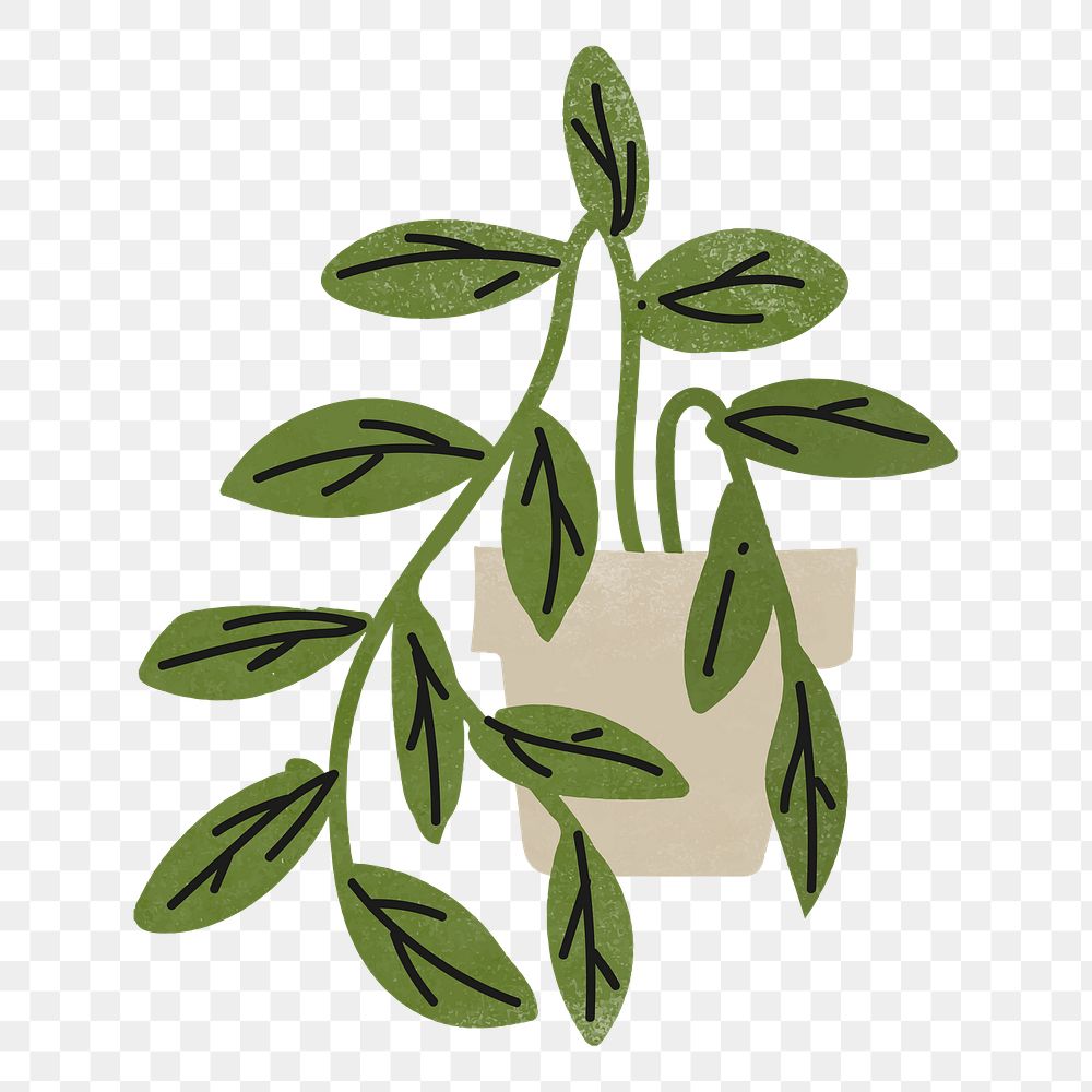 Potted plant png doodle sticker, transparent background