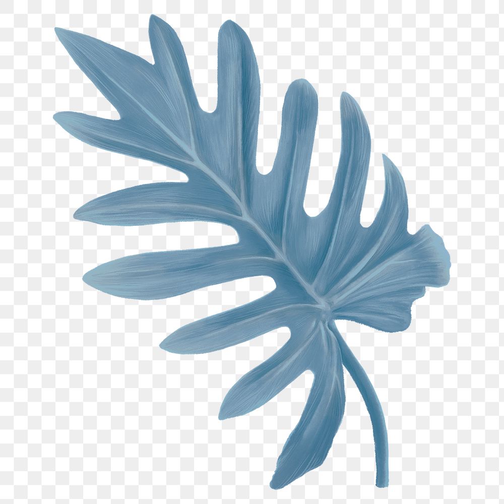 Blue  xanadu leaf png sticker, transparent background