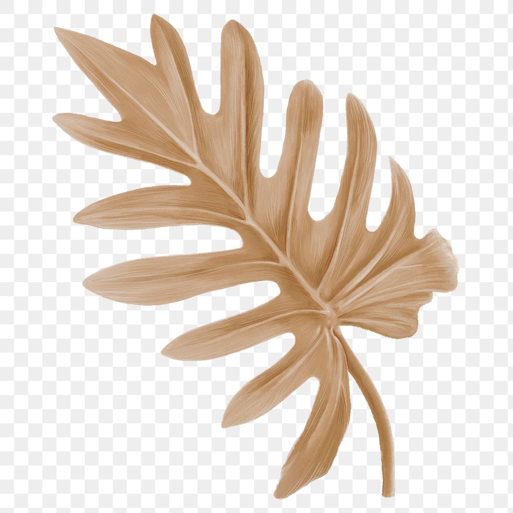 Brown xanadu leaf png sticker, transparent background