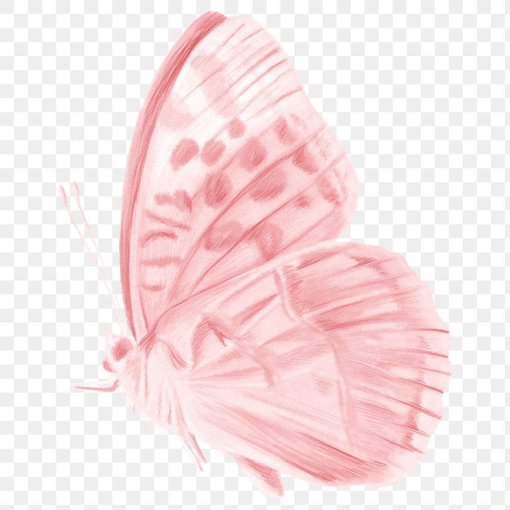 Pink butterfly png sticker, aesthetic illustration on transparent background