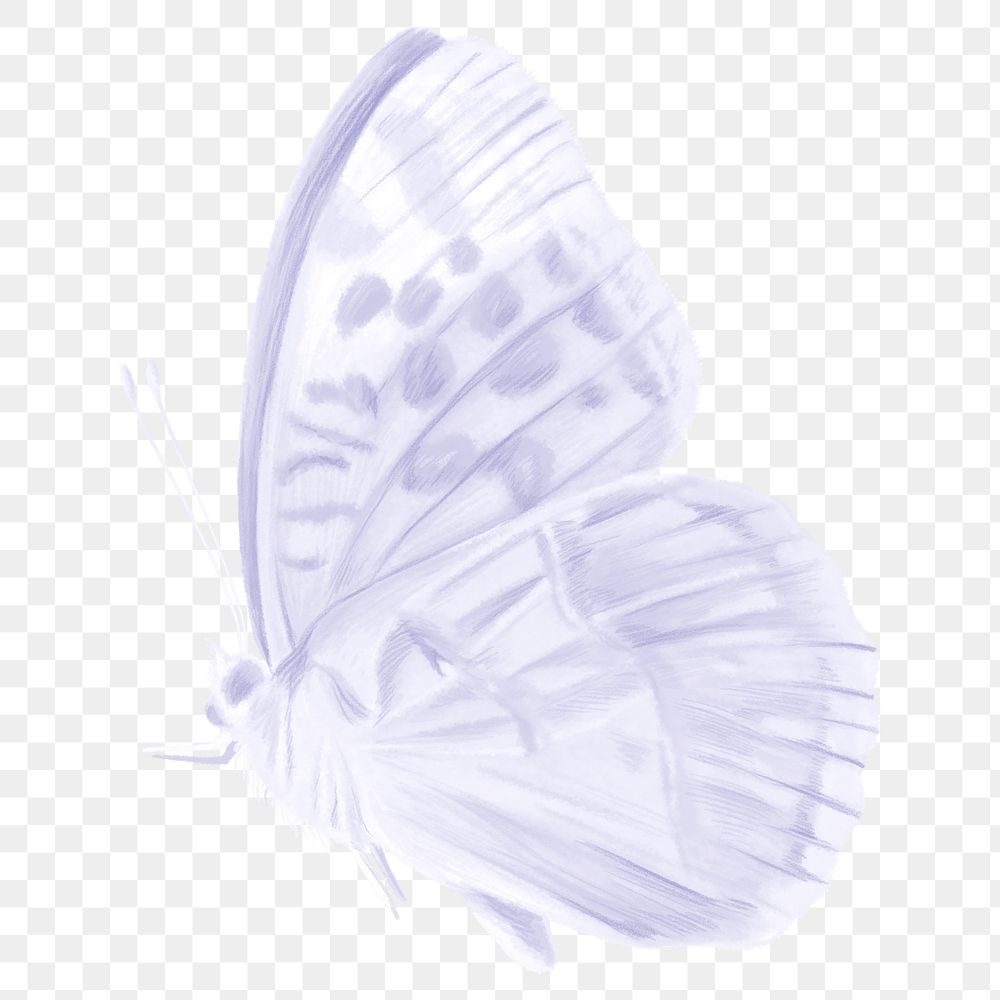 Purple butterfly png sticker, aesthetic illustration on transparent background