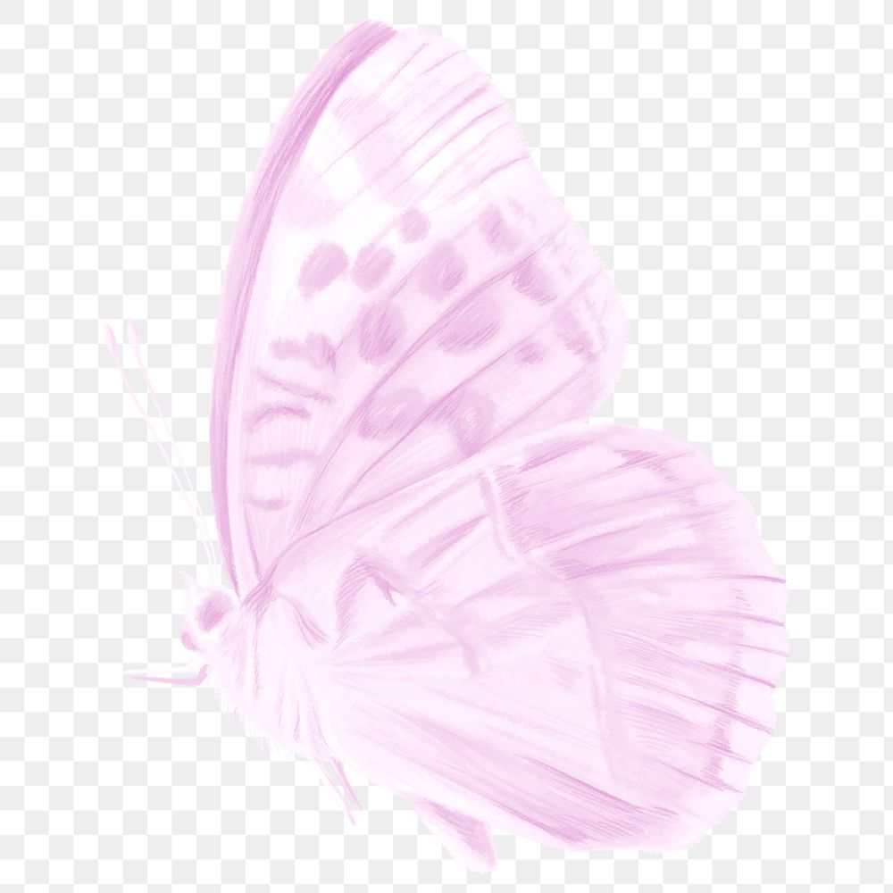 Purple butterfly png sticker, aesthetic illustration on transparent background