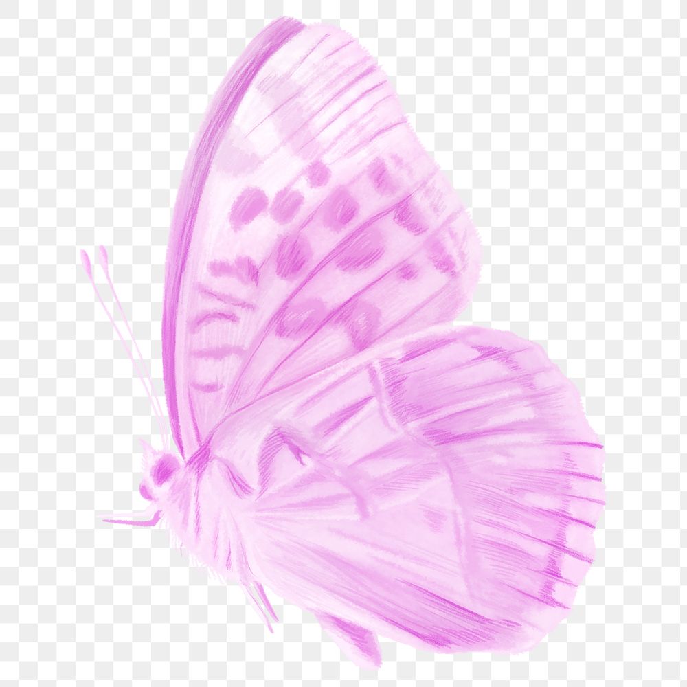 Purple butterfly png sticker, aesthetic illustration on transparent background