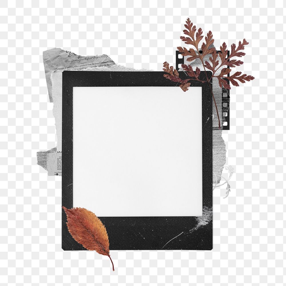Png blank instant photo frame  sticker, transparent background