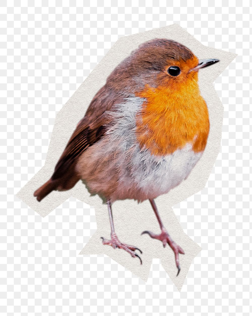 American robin bird png sticker, paper cut on transparent background