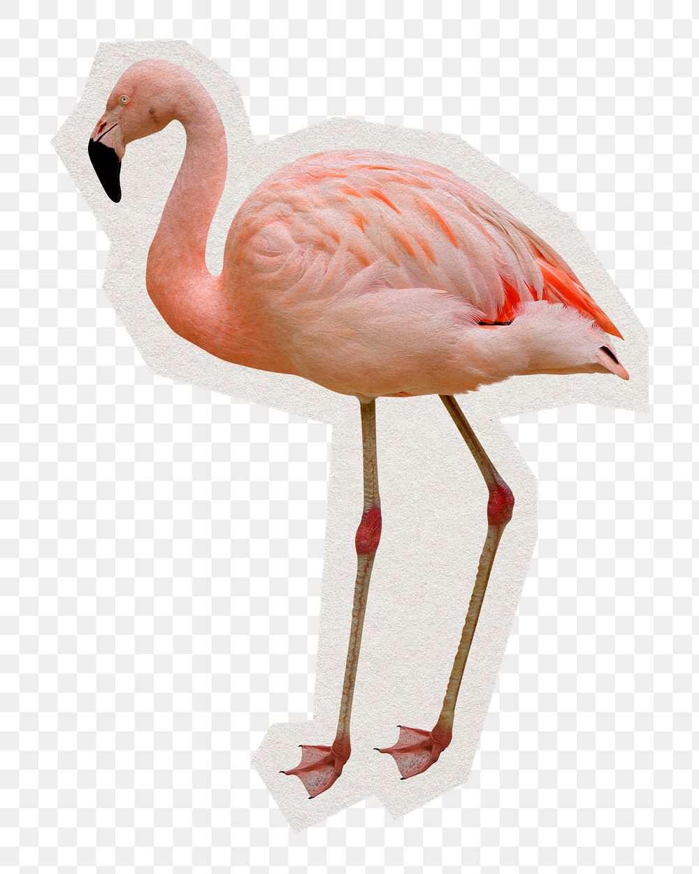 Flamingo png sticker, paper cut on transparent background