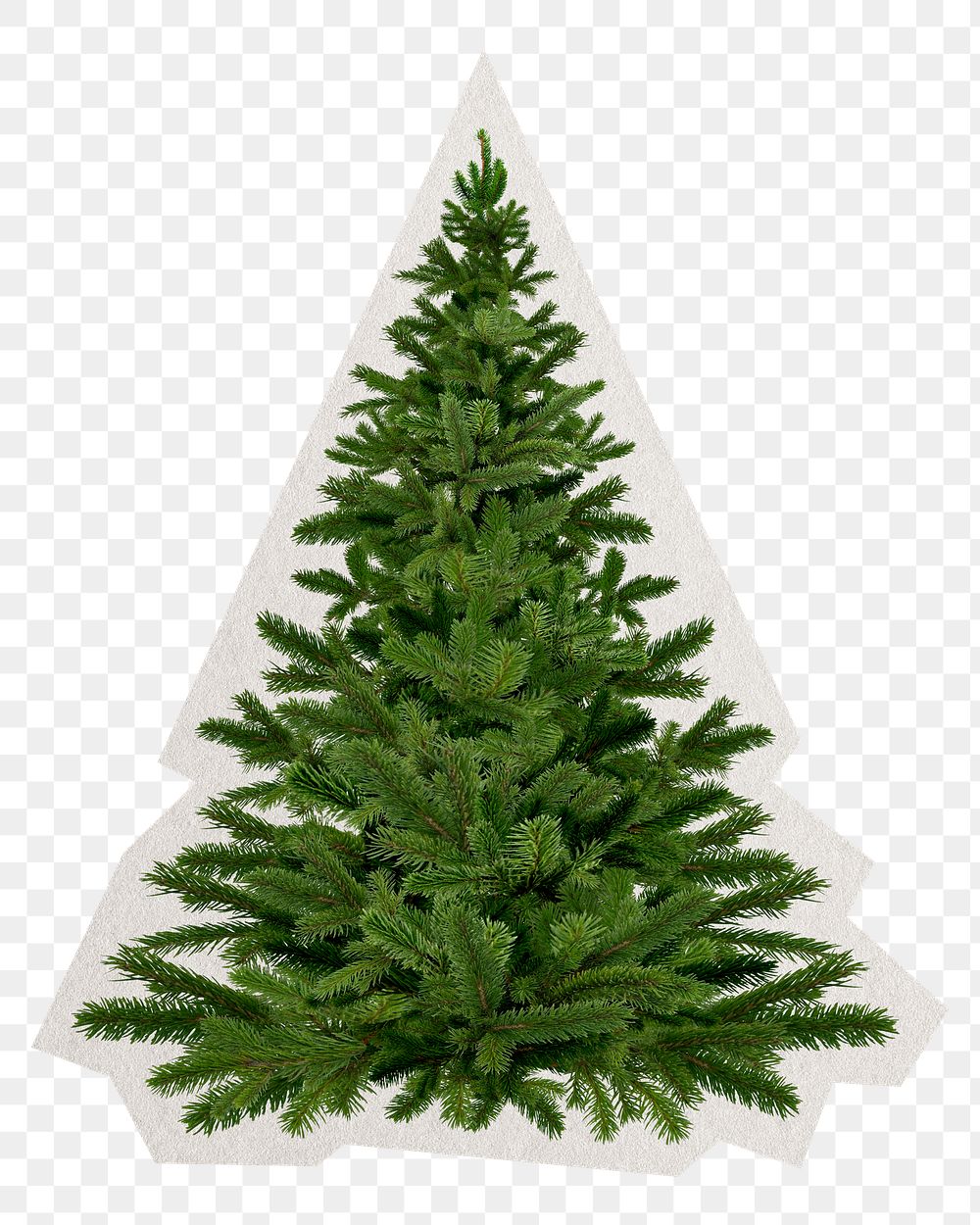 Christmas tree png sticker, paper cut on transparent background