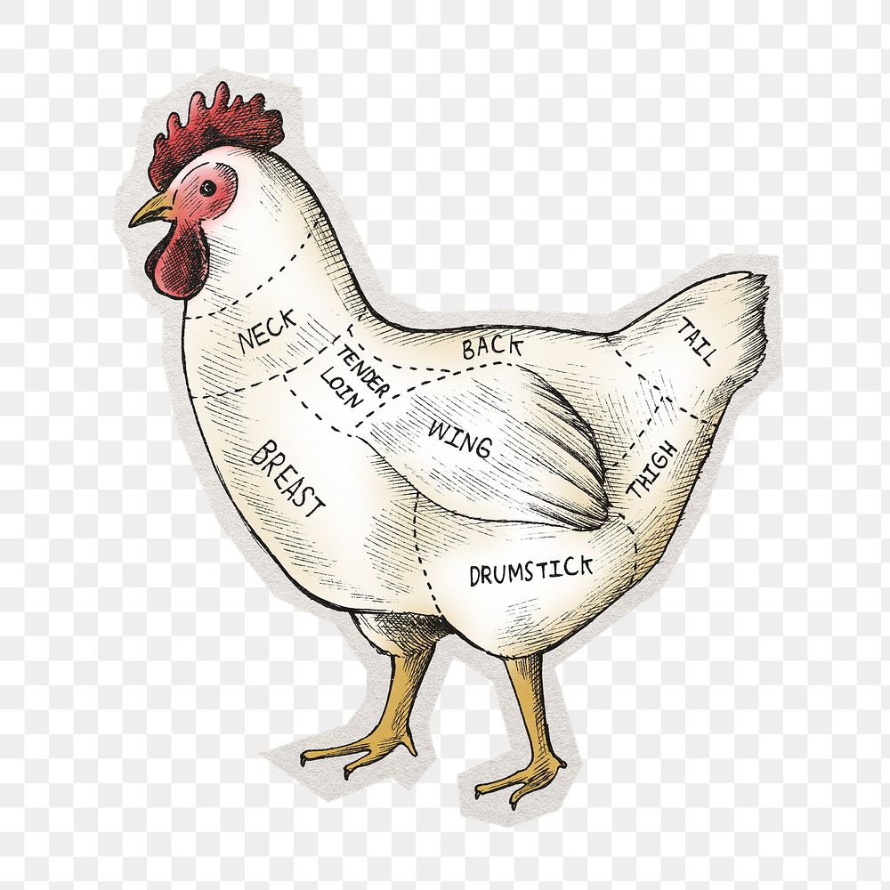 Png cut of chicken sticker, paper cut on transparent background