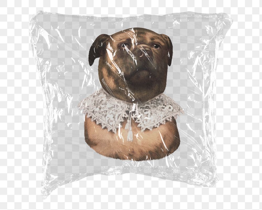 Bulldog png sticker, plastic wrap transparent background. Remixed by rawpixel.