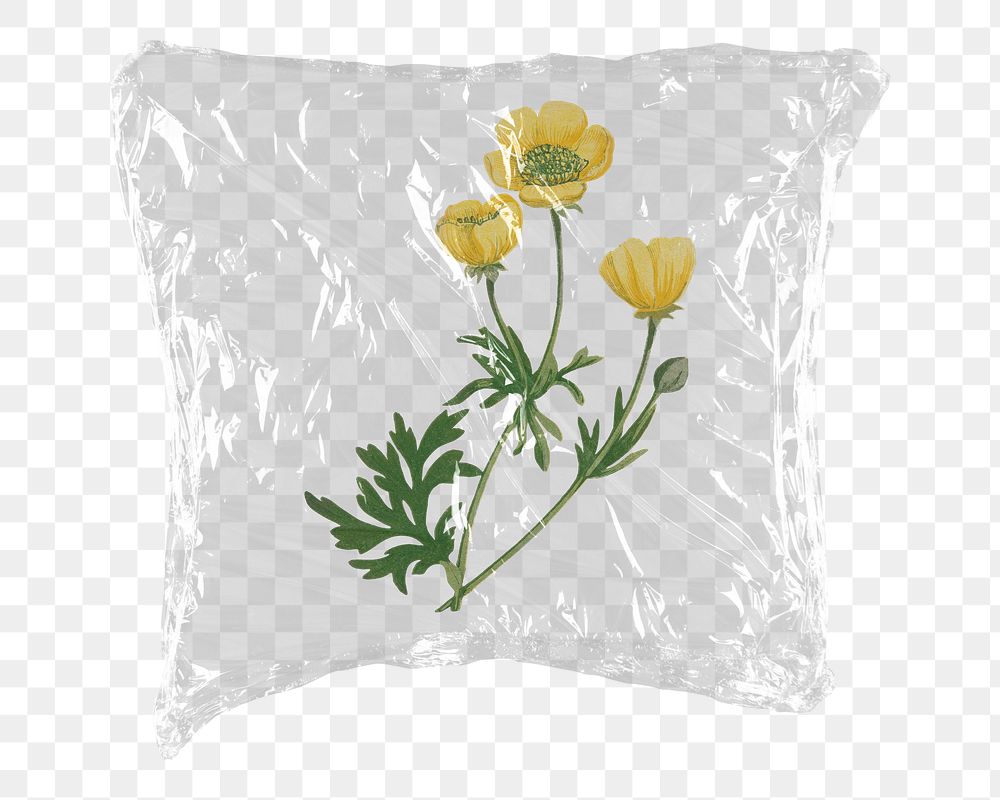 Buttercup png flower sticker, plastic wrap transparent background. Remixed by rawpixel.
