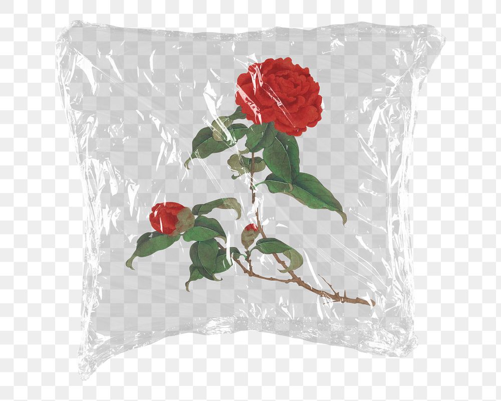Rose png flower sticker, plastic wrap transparent background. Remixed by rawpixel.