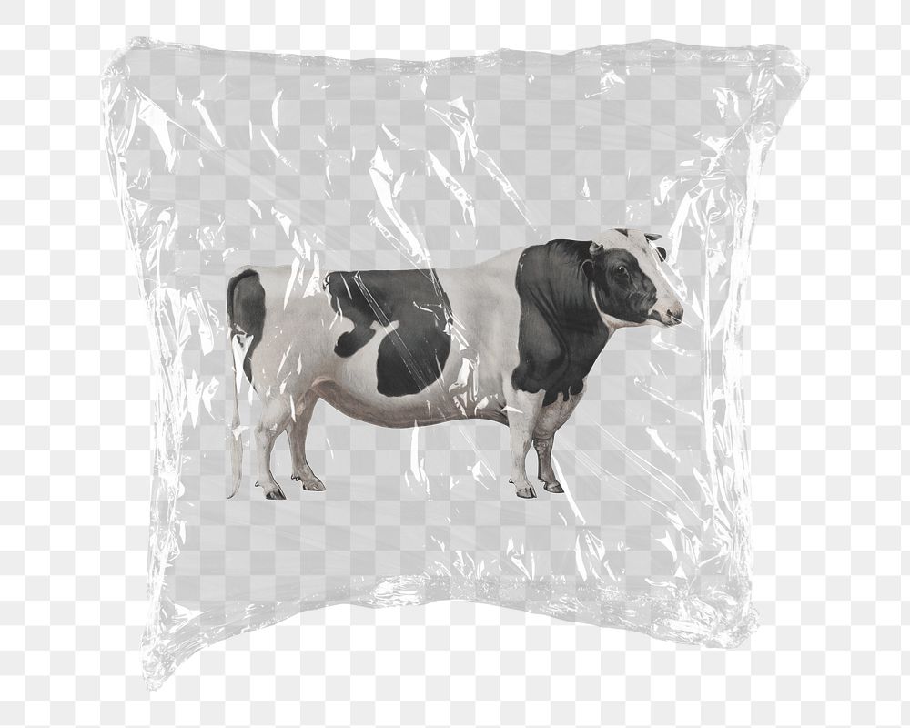 Cow png farm animal sticker, plastic wrap transparent background. Remixed by rawpixel.
