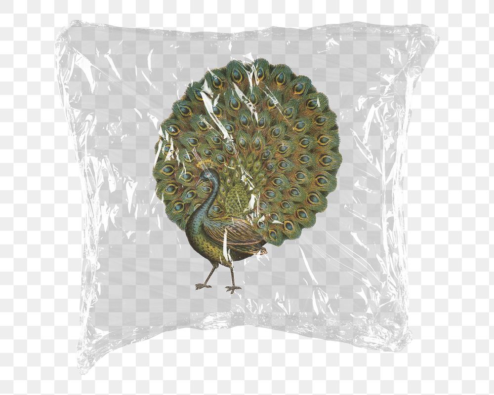 Aesthetic peacock png sticker, plastic wrap transparent background. Remixed by rawpixel.