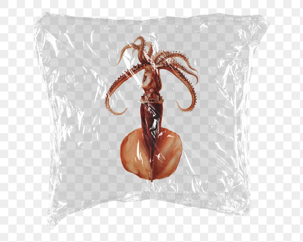 Red squid png sticker, plastic wrap transparent background. Remixed by rawpixel.