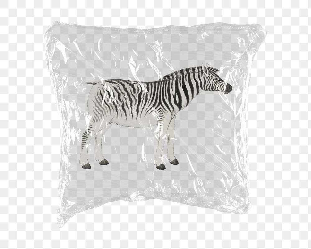 Zebra png sticker, plastic wrap transparent background. Remixed by rawpixel.