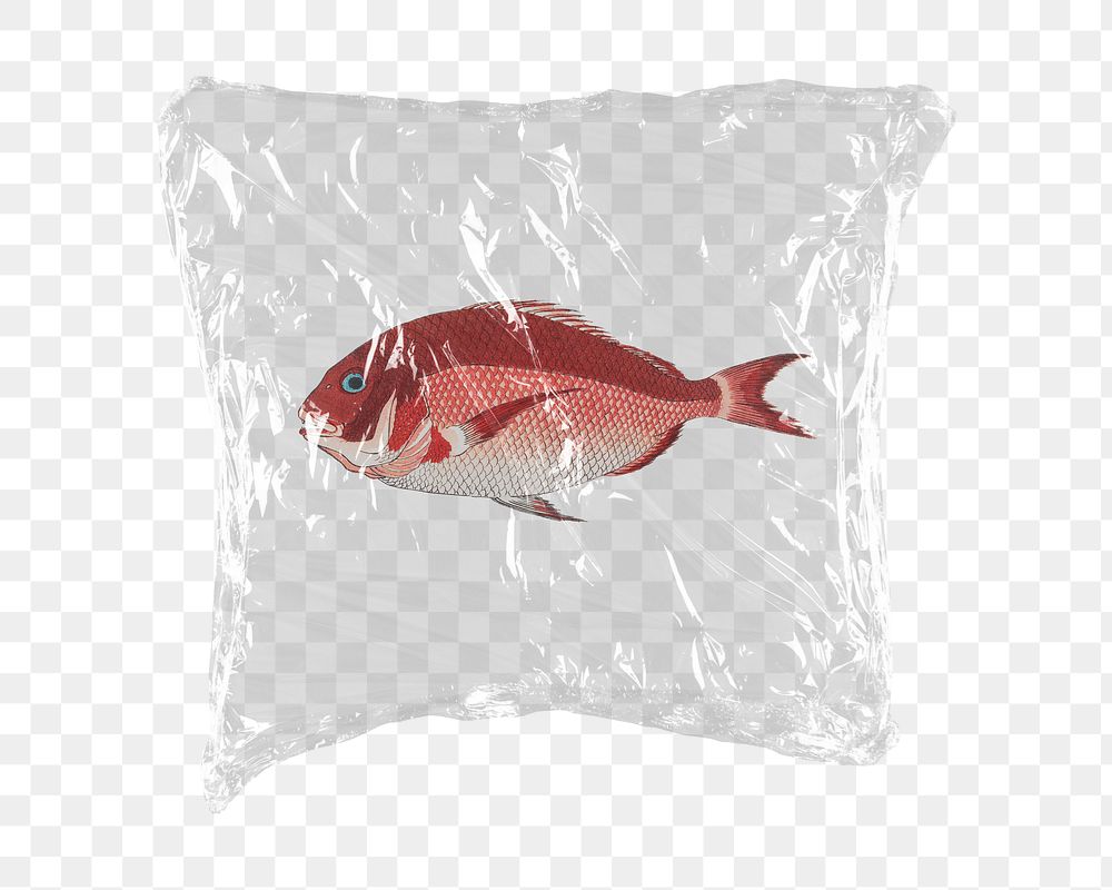 Sea bream fish png sticker, plastic wrap transparent background. Remixed by rawpixel.