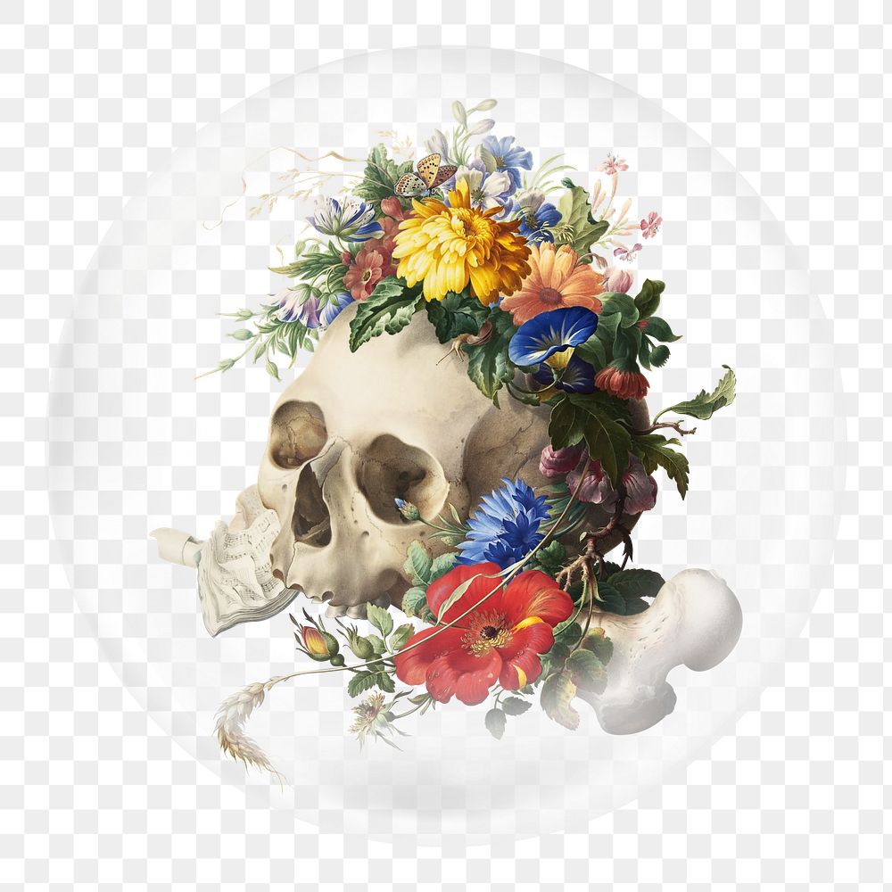 Png Vanitas floral skull sticker, Jan van Kessel's artwork in bubble transparent background. Remixed by rawpixel.