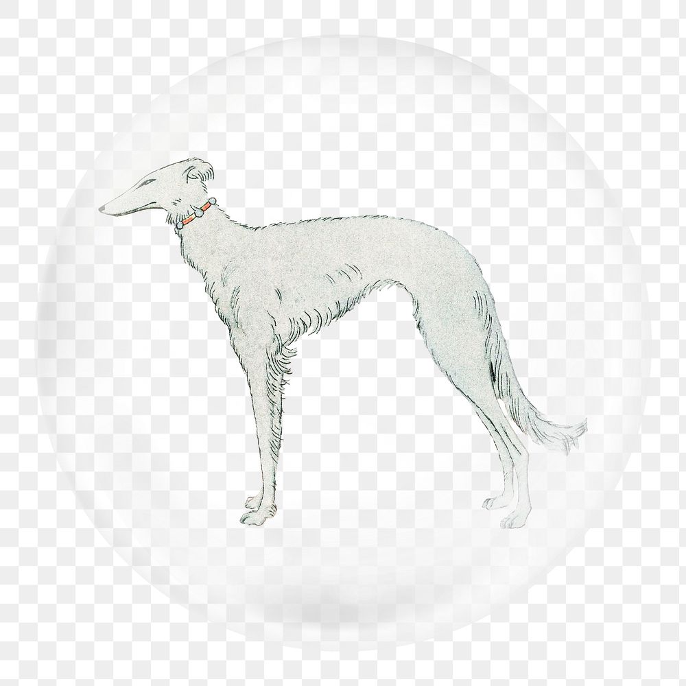 Greyhound dog png sticker bubble design transparent background. Remixed by rawpixel.