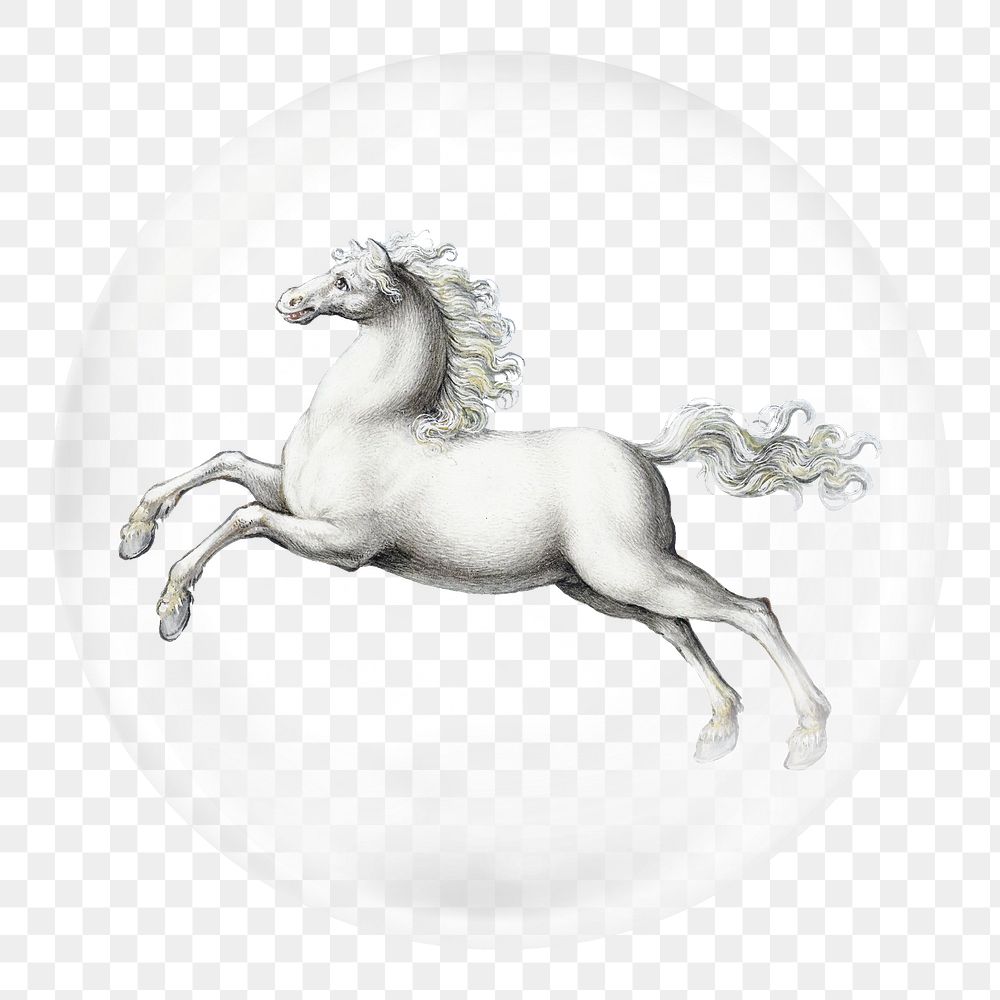 White horse png sticker, bubble design transparent background. Remixed by rawpixel.
