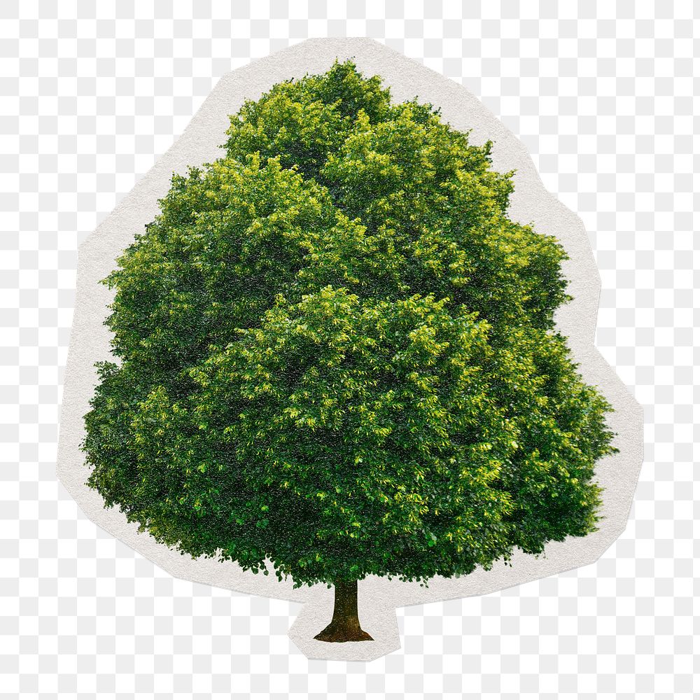 Big tree png sticker, paper cut on transparent background