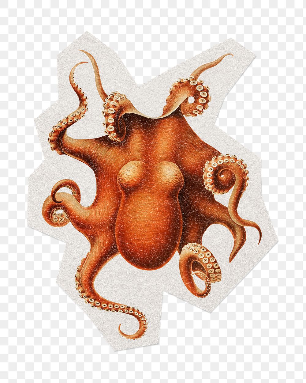 Vintage octopus png sticker, paper cut on transparent background