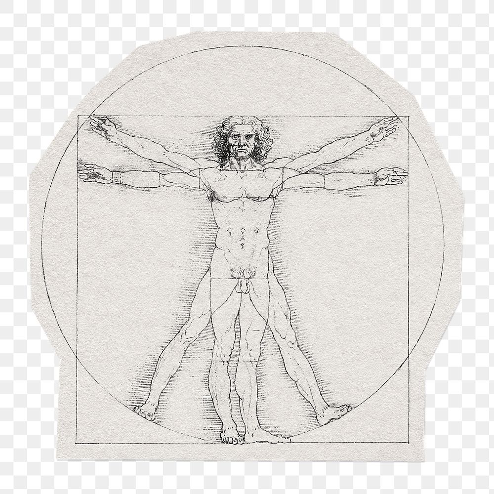 Vitruvian man png sticker, illustration by Leonardo da Vinci on transparent background, remixed by rawpixel.