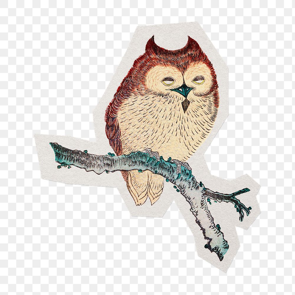 Owl on branch png sticker, transparent background, remixed by rawpixel.