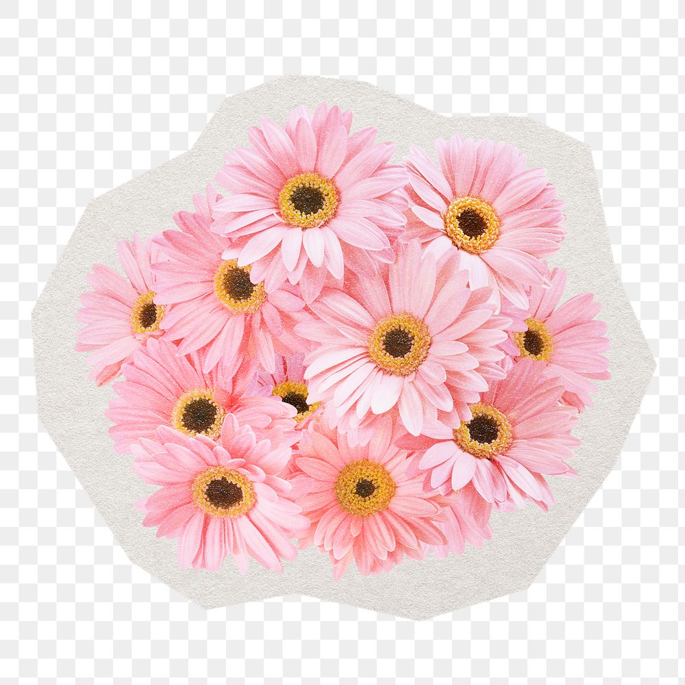 PNG pink gerbera daisy sticker, paper cut on transparent background