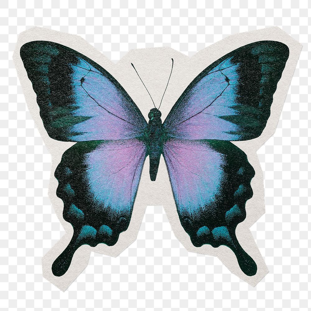Ulysses butterfly png sticker, paper cut on transparent background